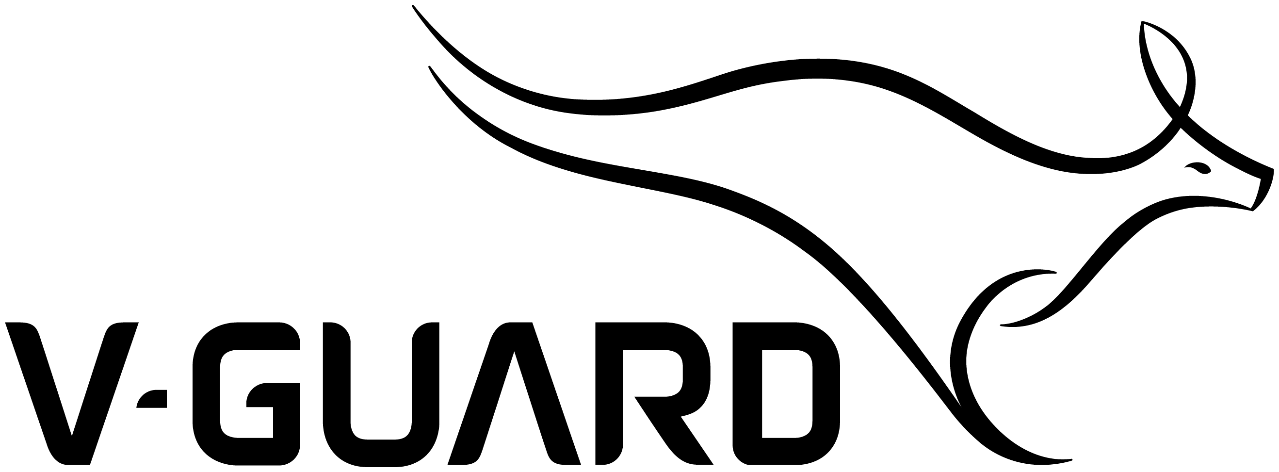 V-Guard
